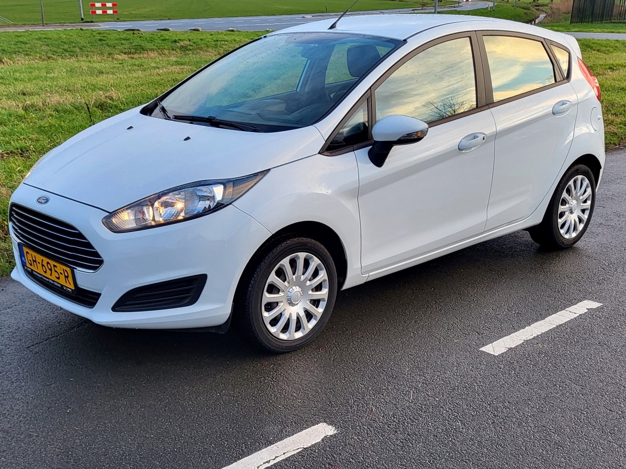 Ford Fiesta GH-695-R